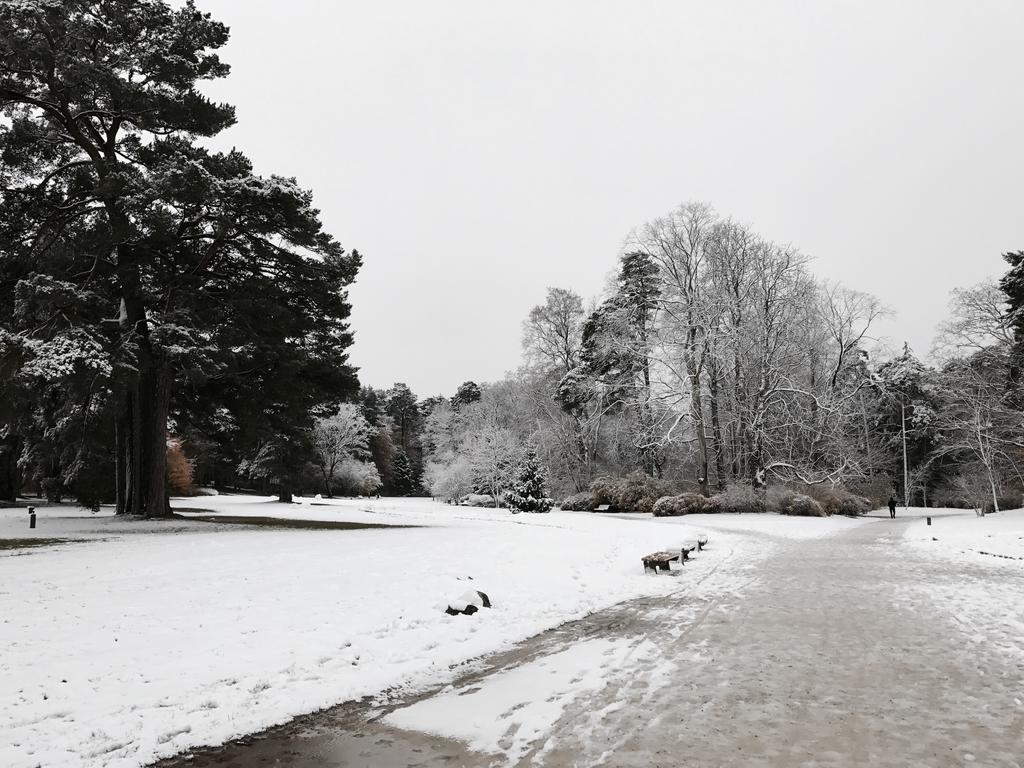 Bangu Apartamentai Palanga Exteriör bild